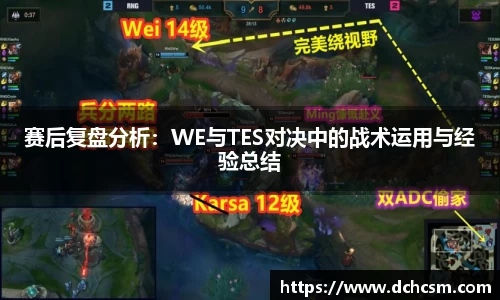 赛后复盘分析：WE与TES对决中的战术运用与经验总结