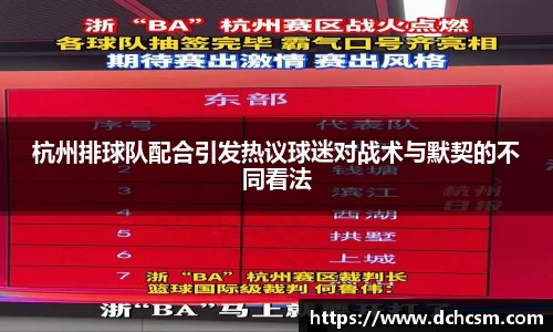 杭州排球队配合引发热议球迷对战术与默契的不同看法
