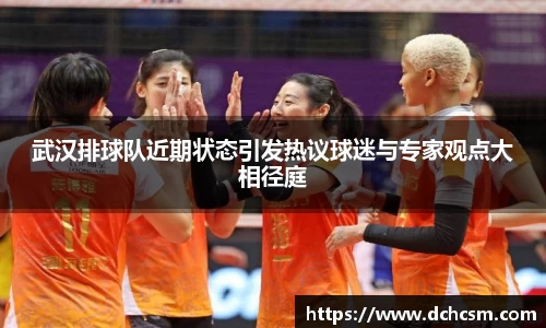 武汉排球队近期状态引发热议球迷与专家观点大相径庭